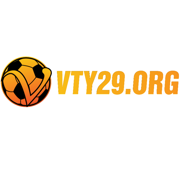 vty29org